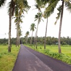 Goa trip itinerary for the first timers