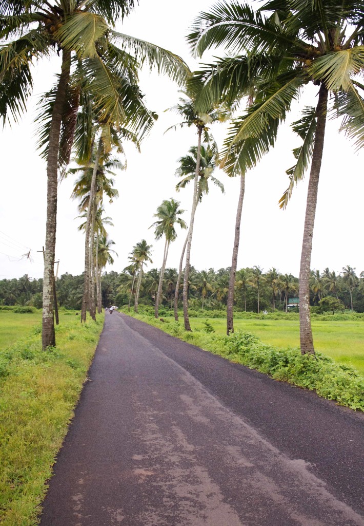 Goa trip itinerary for the first timers